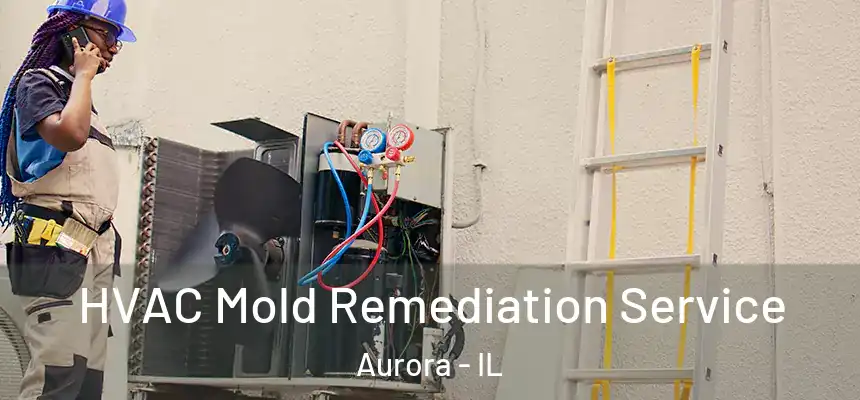  HVAC Mold Remediation Service Aurora - IL