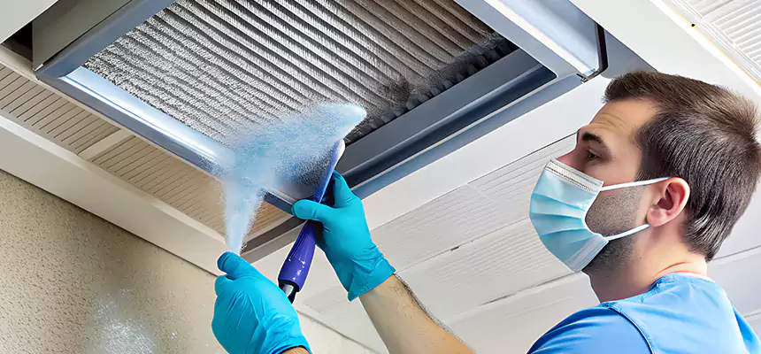 Proactive Dryer Vent & Auxiliary Duct Pollen Cleanup in Aurora, IL