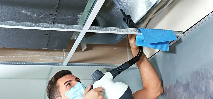 Our Air Duct Rodent Removal Services in Aurora, IL