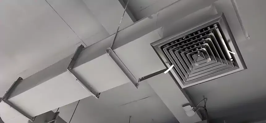 Our Pest Removal From Ducts Services in Aurora, IL