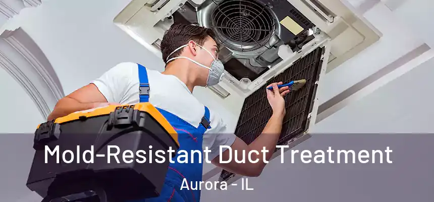  Mold-Resistant Duct Treatment Aurora - IL