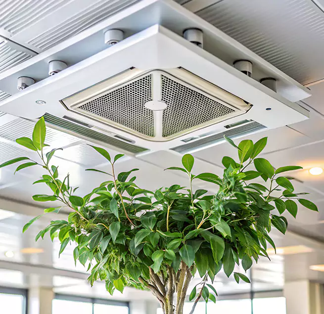 Why Homeowners & Businesses Trust Us in Aurora, IL?